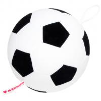 Футбольный мяч 1