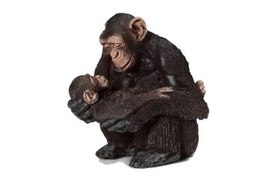 Шимпанзе ,самка с детенышем