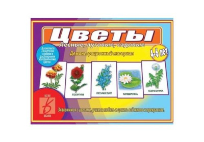 Игра Цветы (лесные, луговые, садовые)