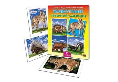 ДИД. ПОСОБИЕ. ЖИВОТНЫЕ СЕВЕРНОЙ АМЕРИКИ