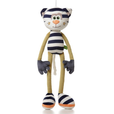 Котенок Франт