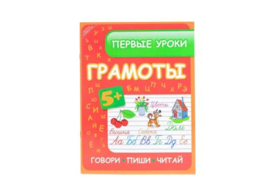Школа развития Первые уроки грамоты говори пиши читай