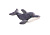 Серый Дельфин (19см)
