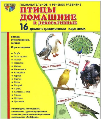 Демонстрационные картинки СУПЕР Профессии 16 карточек с текстом