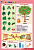 Комплект таблиц Окружающий мир 5-6 лет 'Животные и растения' (12 таблиц+16 карт.)