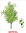 Демонстрационные картинки СУПЕР Деревья и кустарники16 картинок с текстом 173х220мм