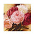 Картина по номерам (30Х30) ОТТЕНКИ РОЗОВОГО (20 цветов)